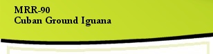 Cuban Ground Iguana MRR-90